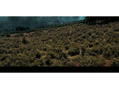 《金剛川》，這就是中國制造的速度！